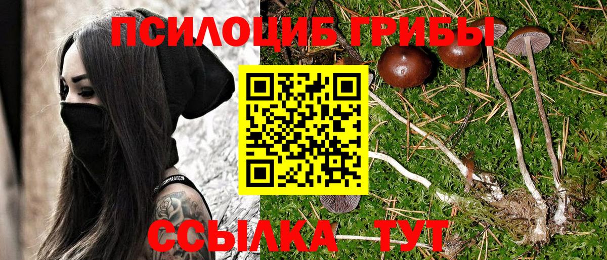 Галлюциногенные грибы мицелий Александров